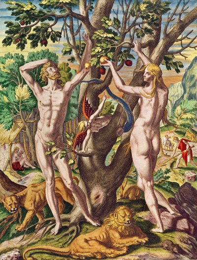 Admiranta Narratio.... Adam and Eve (page 40), 1585-1588 by Theodore de Bry
